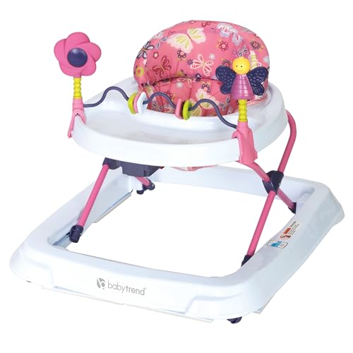 Adaptable Infant Push-Along with Activities