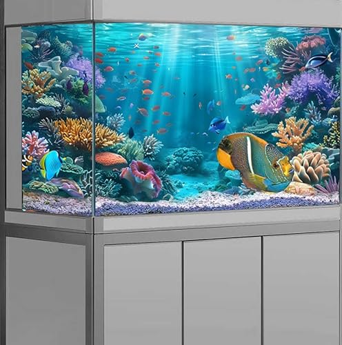 Ocean Reef Aquarium Background