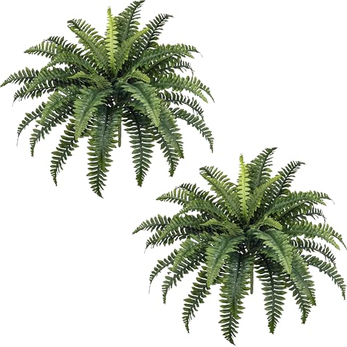 Artificial Fern Plants