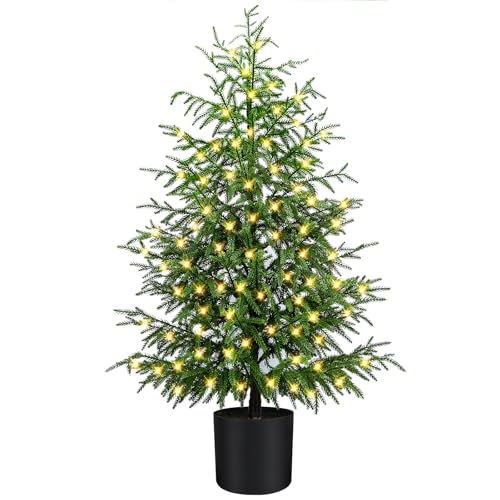 Holiday Pine Trees with LED Lights