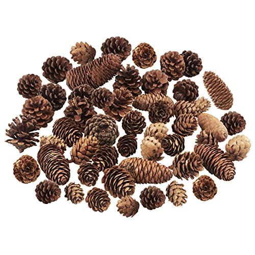 Mixed Pine Cone Embellishments
