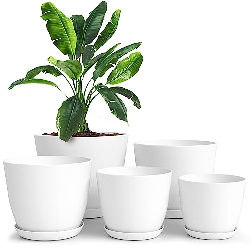Assorted Plant Pots
