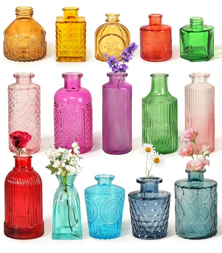 Assorted Unique Shape Vase Collection