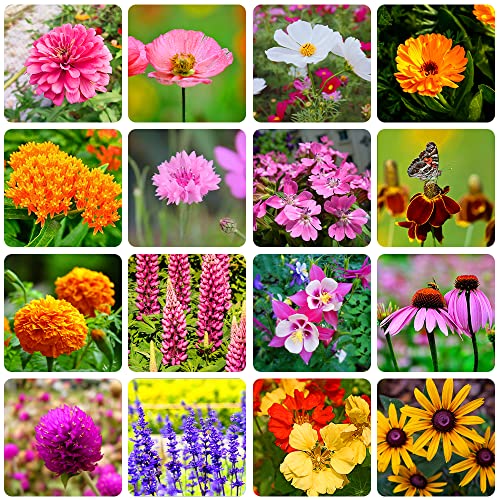 Assorted Wildflower Seed Mix