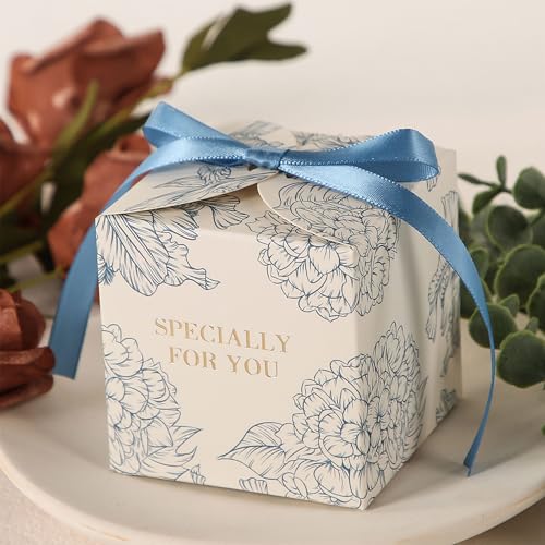 Baby Blue Favor Boxes