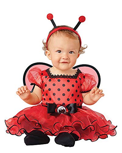 Baby Ladybug Costume