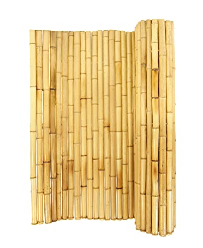 Bamboo Ornamental Panes