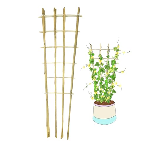 Bamboo Garden Frame
