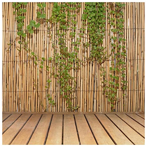 Bamboo Outdoor Divider