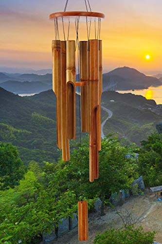 Bamboo Wind Instruments