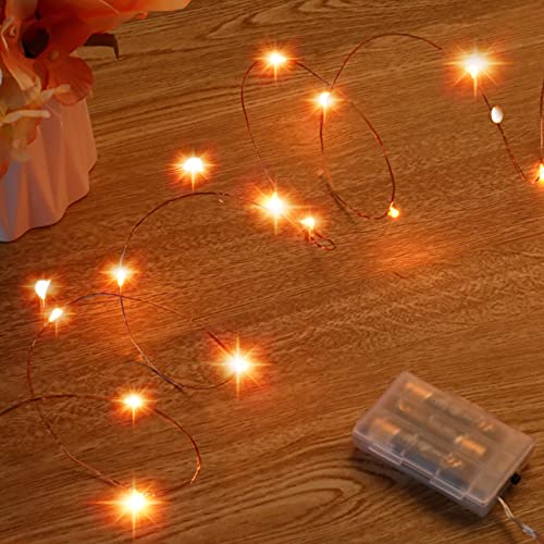 Battery-Operated Halloween Fairy Lights