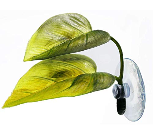 Leaf Hammock for Betta Fish