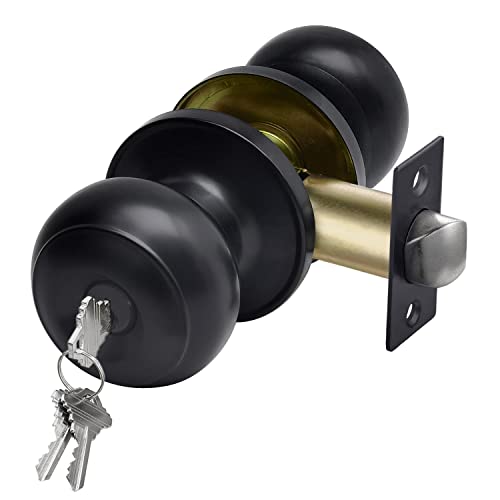 Modern Door Knobs in Black Finish