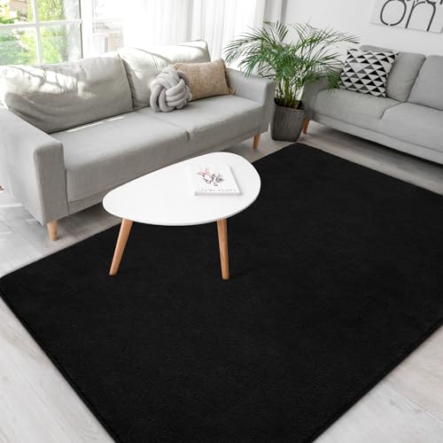 Sleek Black Area Rug