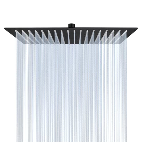 Black Minimalist Rain Shower Head
