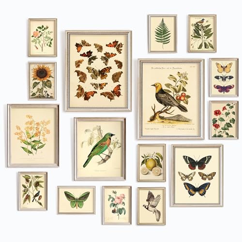 Art Print Collection with Plant Motifs