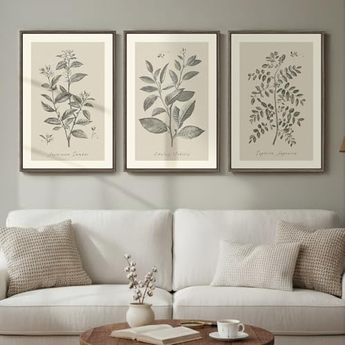 Framed Botanical Art Prints