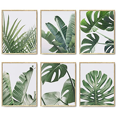 Set of Nature-Inspired Wall Art