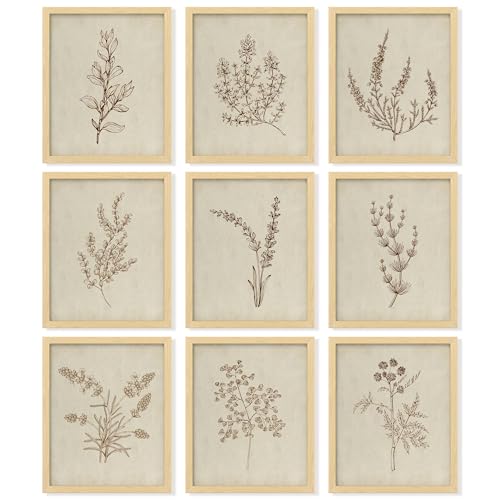 Botanical Wall Art Prints