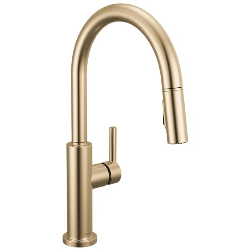Bronze Kitchen Faucet