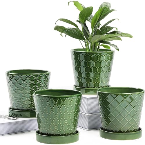 Ceramic Herb Planter Collection