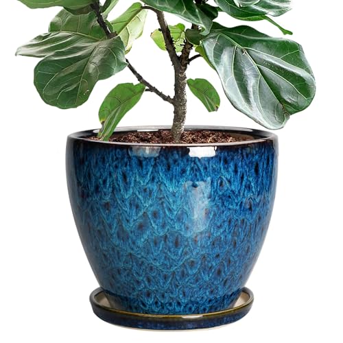 Weather-Resistant Ceramic Pots