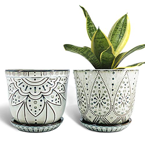 Ceramic Plant Pot
