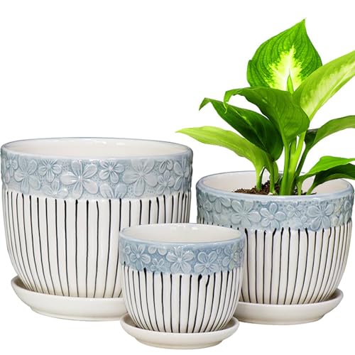 Ceramic Plant Pots with Drainage