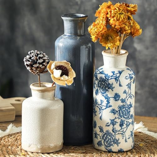 Chic Ceramic Pots
