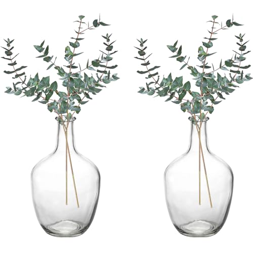 Clear Decorative Glass Vases