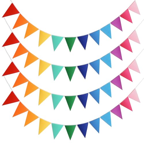 Vibrant Streamer Pennant Set