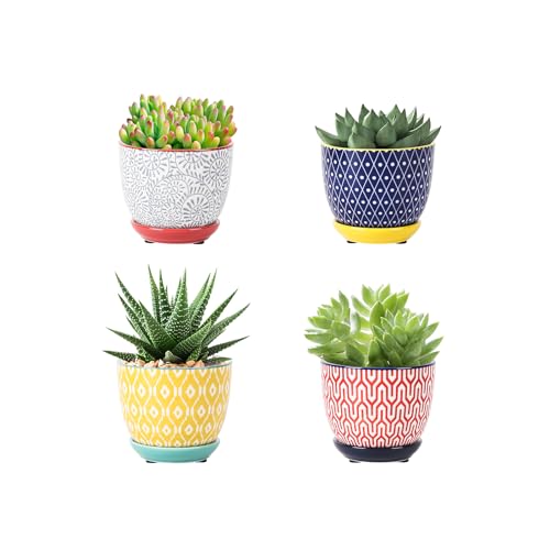 Colorful Ceramic Succulent Vessels