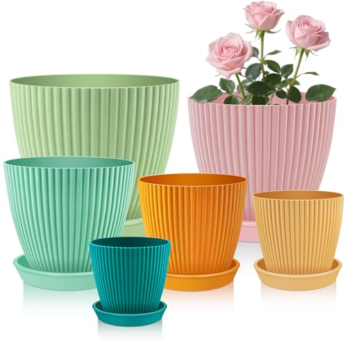 Colorful Garden Planters