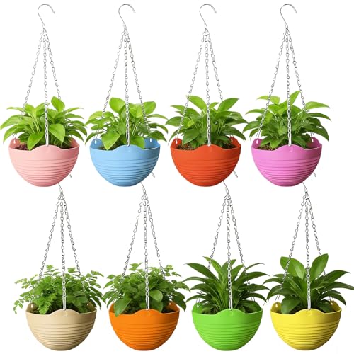 Vibrant Suspended Planter Collection