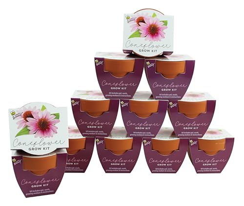 Coneflower Plant Kit