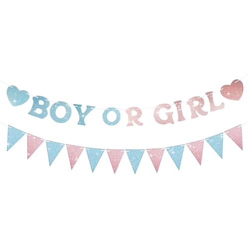 Customizable Gender Reveal Banner Kit