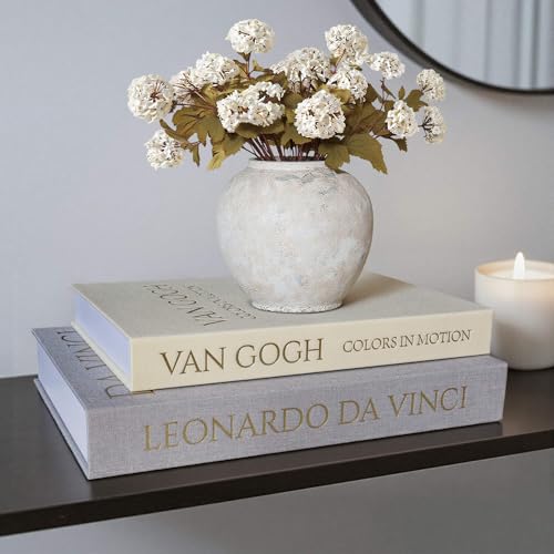 Decorative Book Box Set