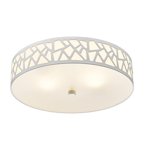 Ornamental Ceiling Light Fixture