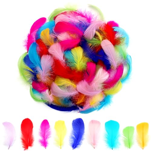 Decorative Craft Feathers