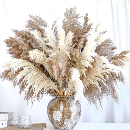 Decorative Feathers