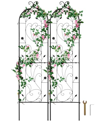 Decorative Garden Trellis