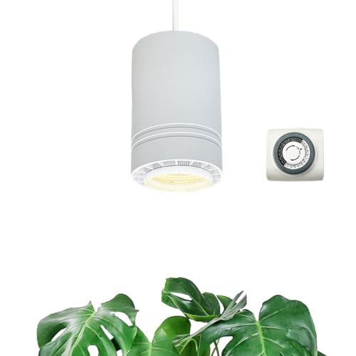 Decorative Pendant Plant Light