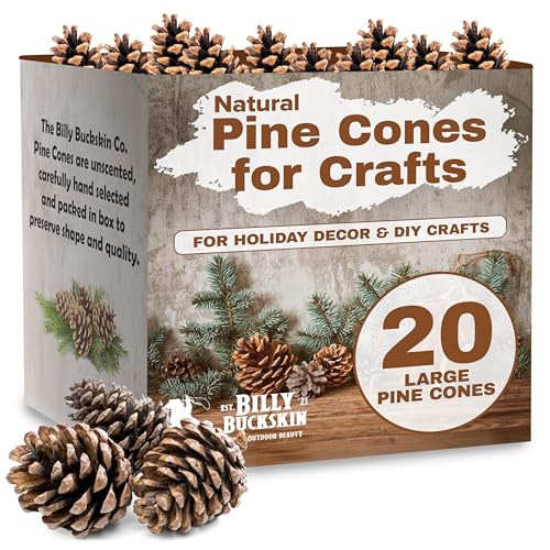 Decorative Pine Cones