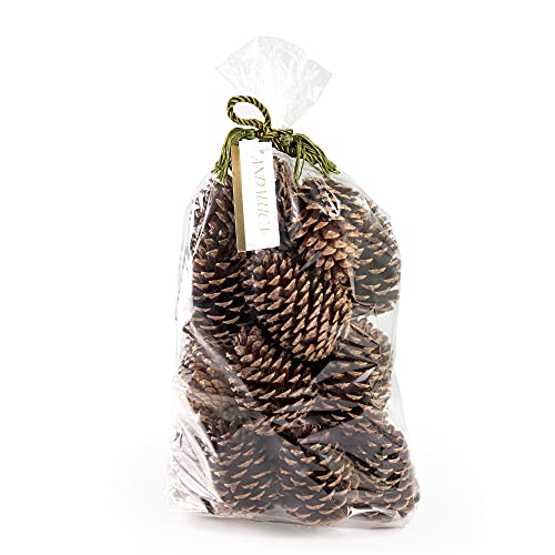 Ornamental Pinecones