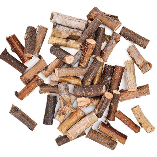 Ornamental Twigs and Branch Segments