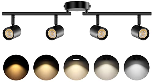 Adjustable Track Lighting Package