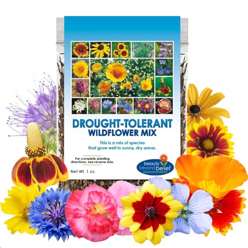 Drought-Resistant Plant Seeds