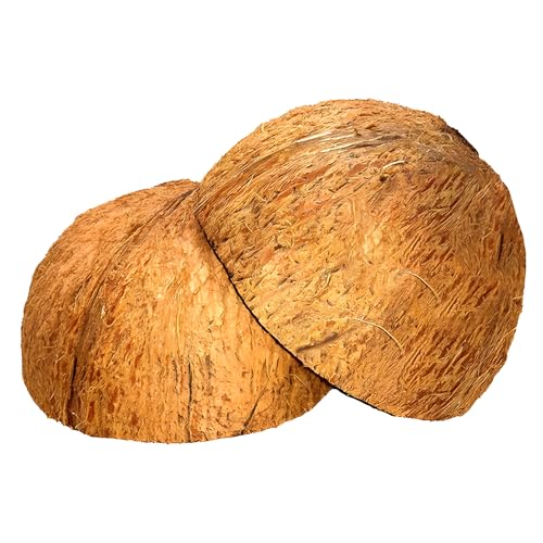 Eco-Friendly Craft Bowls