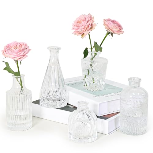 Elegant Glass Vases Set