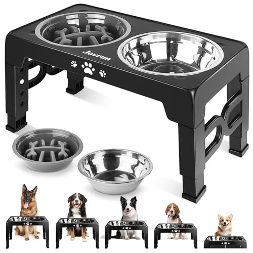 Elevated Pet Feeding Station